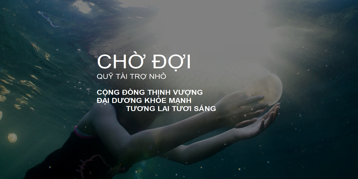 Nghề cá quy mô nhỏ